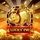 May Mắn Pig