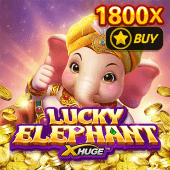 Voi May Mắn X-Huge