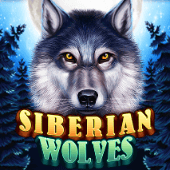 Sói Siberia
