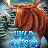Alaska hoang dã
