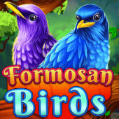Chim Formosan