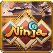 Ninja