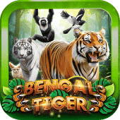Hổ Bengal