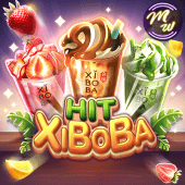 XiBoBa Hit