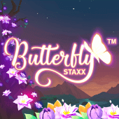 Staxx Hồ Điệp