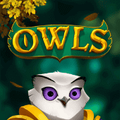 Cú