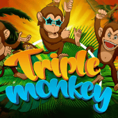 Triple Monkey