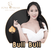 Bull Bull