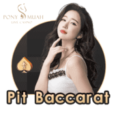Baccarat VIP
