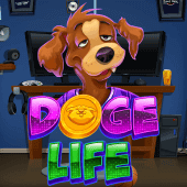 Cuộc sống của Doge