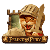 Feline Fury
