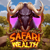 Safari of Wealth