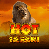 Safari nóng