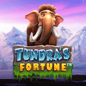 Vận May Của Tundra
