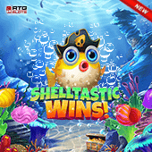 Shelltastic Wins!