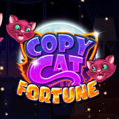 Fortune Con Mèo