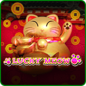 Meo meo may mắn