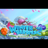 Winterberries 2